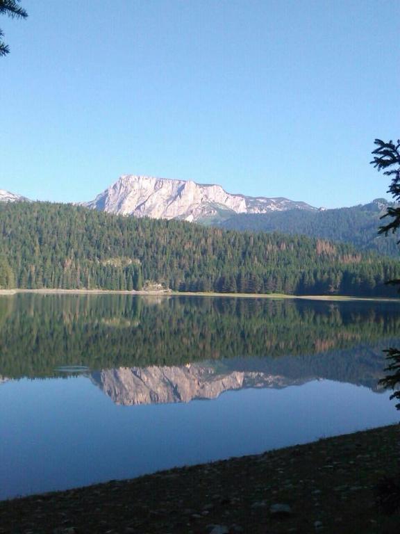 Chalet Hill Zabljak Екстериор снимка